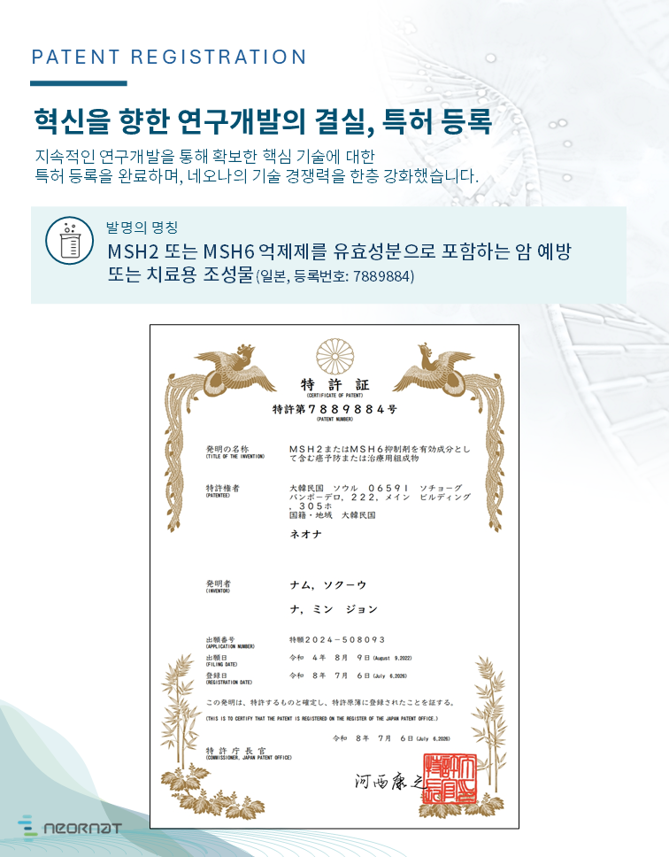 MSH2 또는 MSH6 억제제를 유효성분으로 포함하는 암 예방 또는 치료용 조성물, 일본특허(등록번호: 7889884)